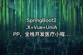 SpringBoot2.X+Vue+UniAPP，全栈开发医疗小程序无密分享 - getfromcode