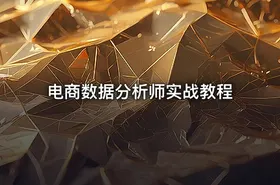 电商数据分析师实战教程 - getfromcode