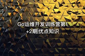 Go运维开发训练营第1+2期|优点知识