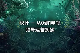 秋叶 – 从0到1学视频号运营实操