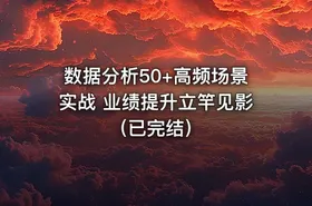 数据分析50+高频场景实战 业绩提升立竿见影（已完结）