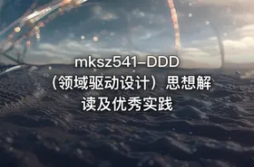 mksz541-DDD（领域驱动设计）思想解读及优秀实践
