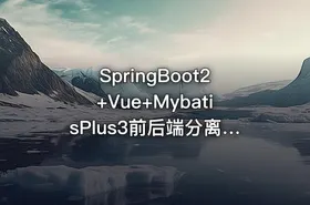 SpringBoot2+Vue+MybatisPlus3前后端分离权限系统D2Admin视频教程