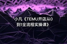 小凡《TEMU开店从0到1全流程实操课》