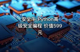 安全牛 Python高级安全编程 价值599元