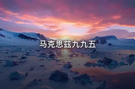 马克思兹九九五