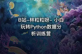 B站-林粒粒呀- 小白玩转Python数据分析训练营