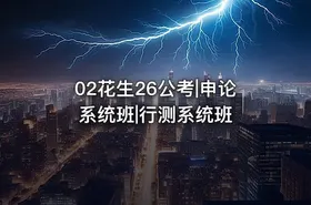 02花生26公考|申论系统班|行测系统班