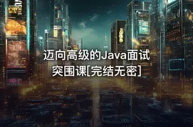 迈向高级的Java面试突围课[完结无密]