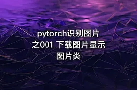 pytorch识别图片之001 下载图片显示图片类 - getfromcode