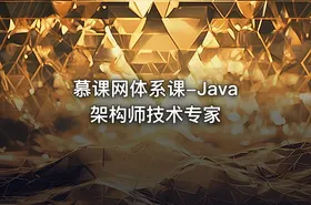 慕课网体系课-Java架构师技术专家