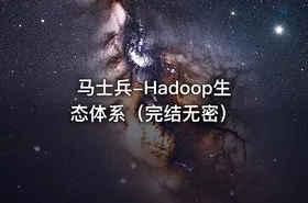 马士兵-Hadoop生态体系（完结无密）