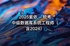 2025紫依 - 软考中级数据库系统工程师（含2024）
