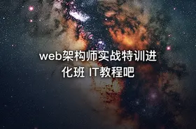 web架构师实战特训进化班 IT教程吧