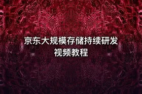 京东大规模存储持续研发视频教程 - getfromcode