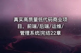 真实高质量低代码商业项目，前端/后端/运维/管理系统|完结22章