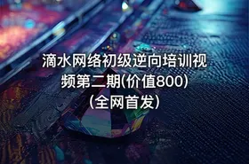 滴水网络初级逆向培训视频第二期(价值800)(全网首发)