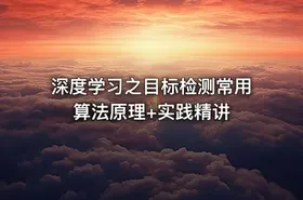 深度学习之目标检测常用算法原理+实践精讲