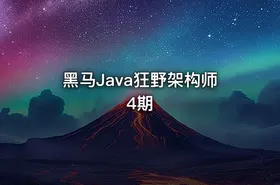 黑马Java狂野架构师4期
