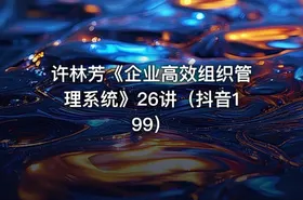 许林芳《企业高效组织管理系统》26讲（抖音199） - getfromcode