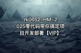 HM-2025零代码带你搞定项目开发部署【VIP】