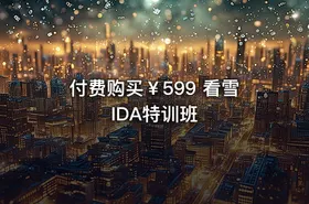 付费购买￥599 看雪 IDA特训班 - getfromcode