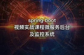 spring boot视频实战课程微服务后台及监控系统