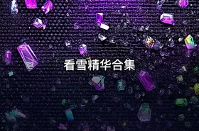 看雪精华合集