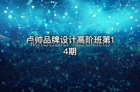 卢帅品牌设计高阶班第14期