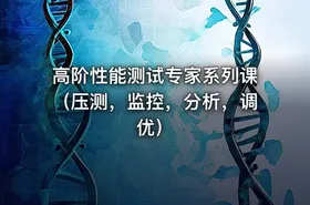 高阶性能测试专家系列课（压测，监控，分析，调优）