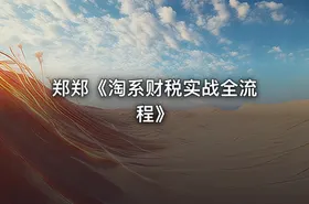 郑郑《淘系财税实战全流程》