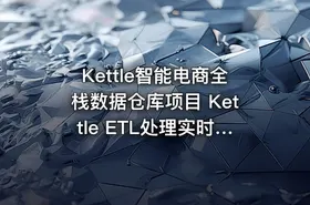 Kettle智能电商全栈数据仓库项目 Kettle ETL处理实时仓库+离线仓库高级项目课程 - getfromcode