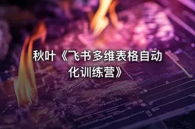 秋叶《飞书多维表格自动化训练营》