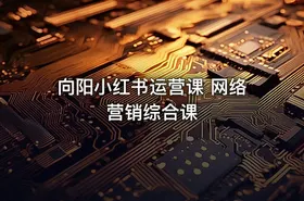 向阳小红书运营课 网络营销综合课