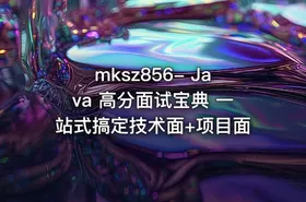 mksz856- Java 高分面试宝典 一站式搞定技术面+项目面 - getfromcode