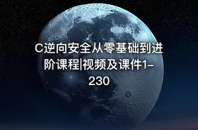 C逆向安全从零基础到进阶课程|视频及课件1-230
