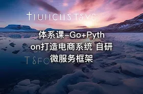体系课-Go+Python打造电商系统 自研微服务框架