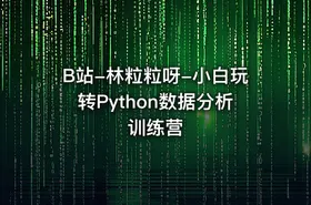 B站-林粒粒呀-小白玩转Python数据分析训练营