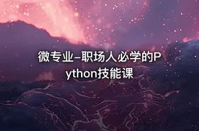 微专业-职场人必学的Python技能课