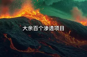 大余百个渗透项目