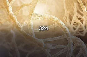 324