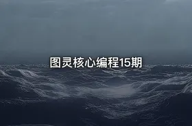 图灵核心编程15期