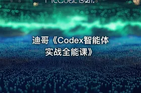 迪哥《Codex智能体实战全能课》