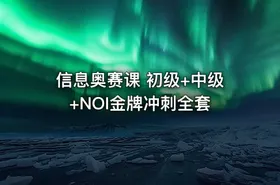 信息奥赛课 初级+中级+NOI金牌冲刺全套