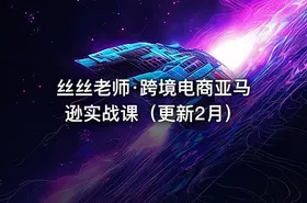 丝丝老师·跨境电商亚马逊实战课（更新2月） - getfromcode