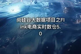 尚硅谷大数据项目之Flink电商实时数仓5.0