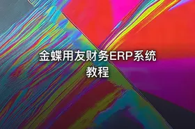 金蝶用友财务ERP系统教程 - getfromcode