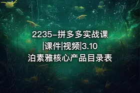 2235-拼多多实战课|课件|视频|3.10泊素雅核心产品目录表 - getfromcode