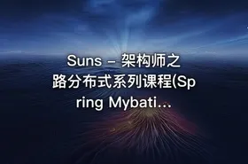 Suns - 架构师之路分布式系列课程(Spring Mybatis Netty RPC) 价值数千元 - getfromcode