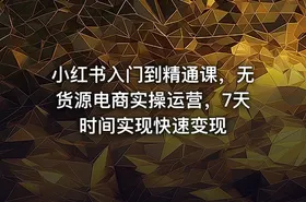 小红书入门到精通课，无货源电商实操运营，7天时间实现快速变现